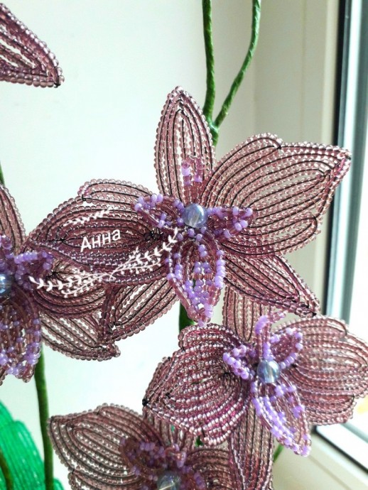 Орхидея из бисера Орхидея из бисера