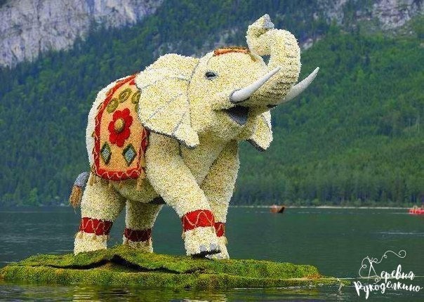 ​Скульптуры из цветов