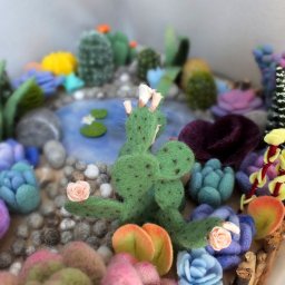 Суккуленты и кактусы в технике валяния: идеи