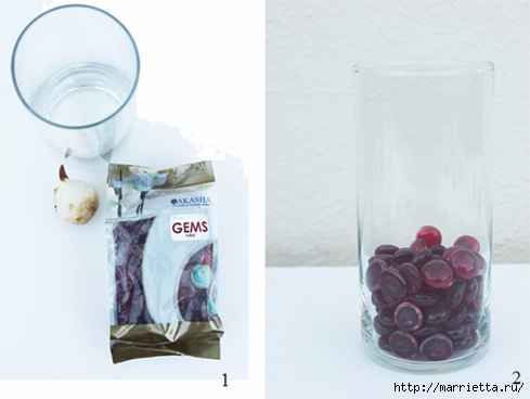 Чудесная идея выращивания тюльпанов в прозрачной вазе