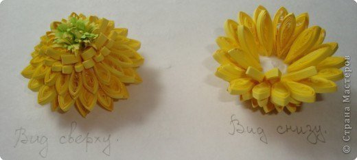 Цветы в технике квиллинг