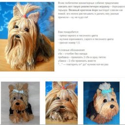 Как связать йоркширского терьера