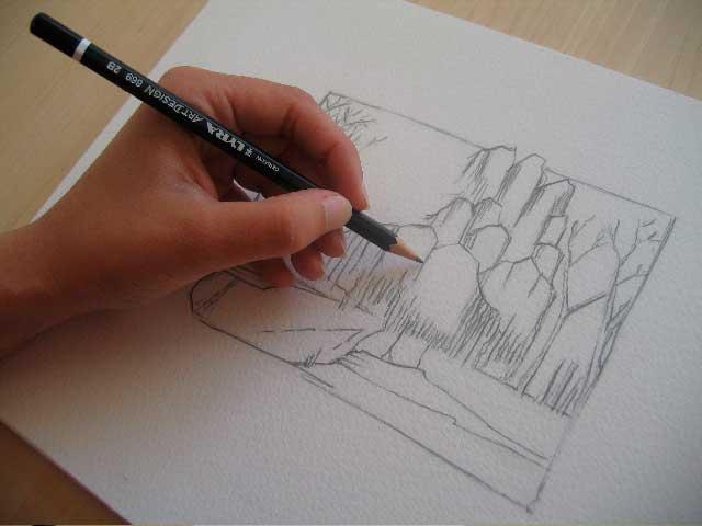 Плакучая ива акварелью