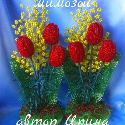 Тюльпаны с мимозой