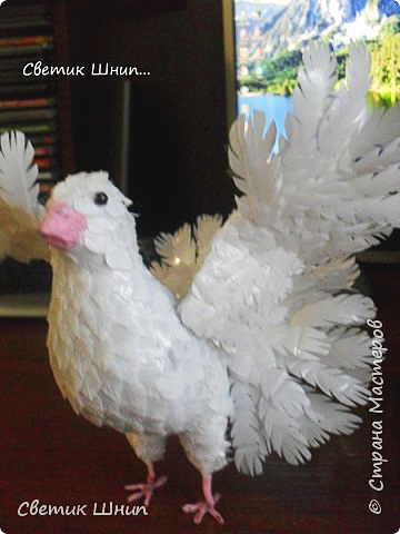 Любовь и голуби: пригласите счастье в дом