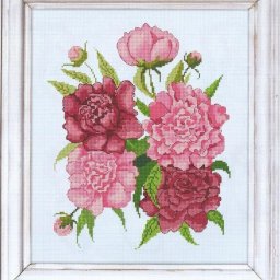 ​Вышивка крестиком: пионы