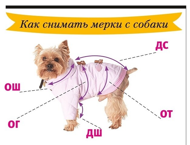 Комбинезон для любимой собаки