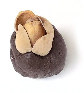 Дерево из скорлупок от фисташек Дерево из скорлупок от фисташек