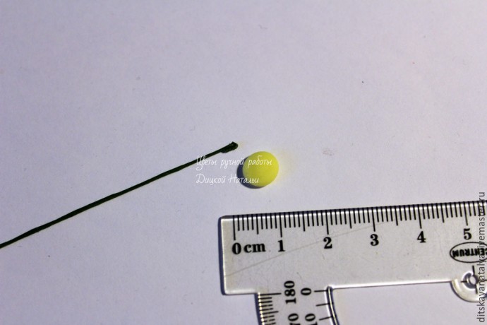 Кальцеолярия из полимерной глины