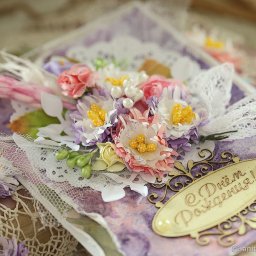 Декоративные астры