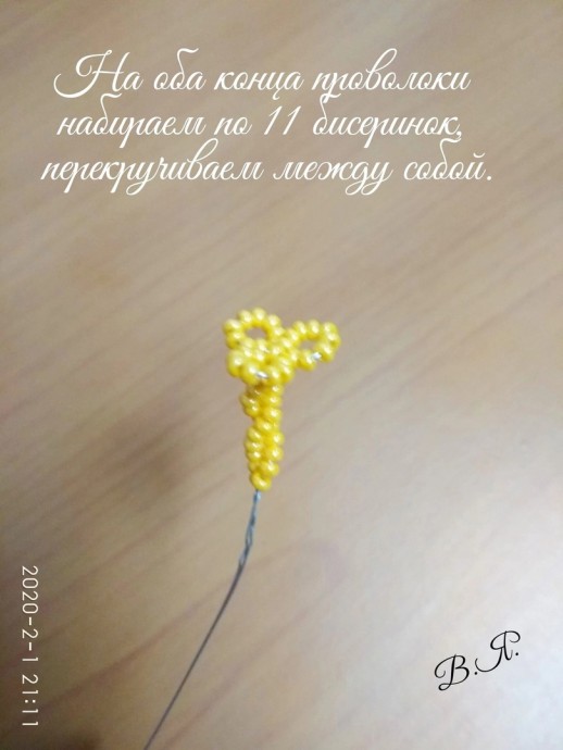 ​Нарциссы из рубки