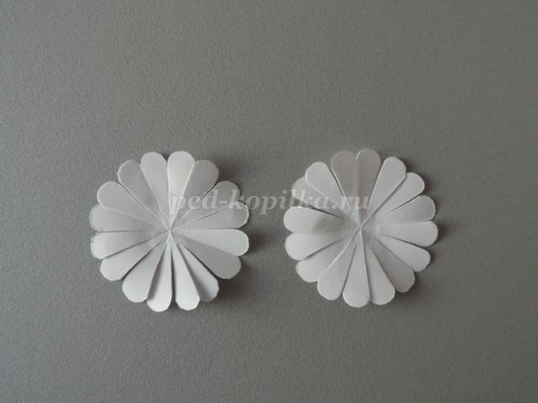 Цветы из бумаги