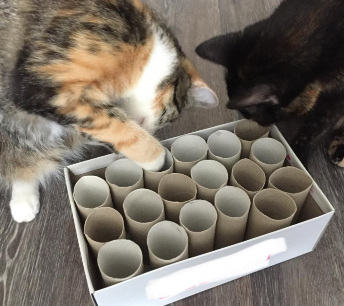 Интересные поделки для счастья кошек