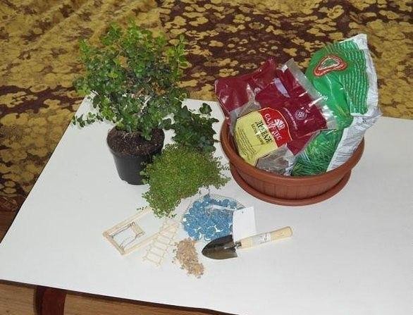 Мини-сад в горшке