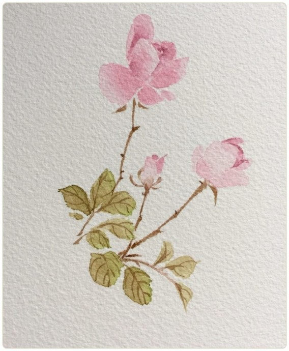 Рисуем веточку вместе