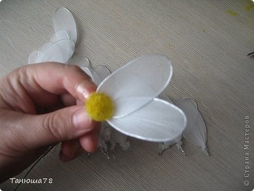 Ромашки из капpoна