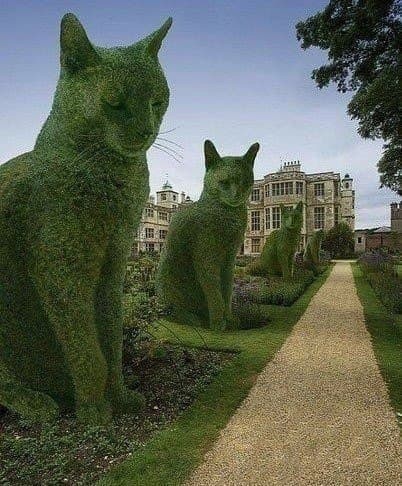 Невероятные зеленые фигуры