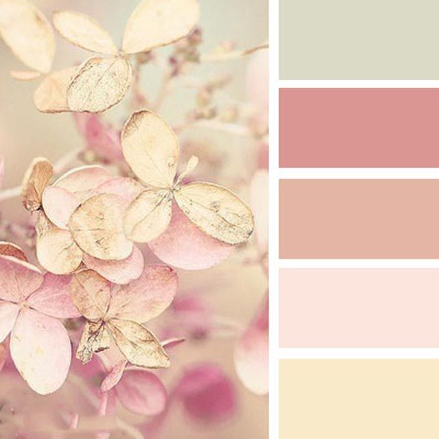 Лучшие сочетания цветов с персиковым