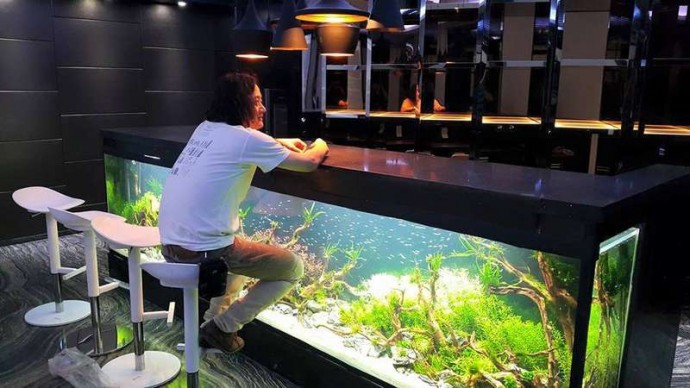 Интересные идеи аквариумов