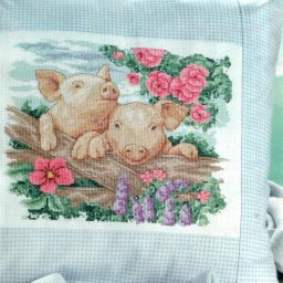 ​Любовь поросят