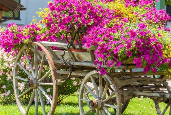 Клумбы из тележек