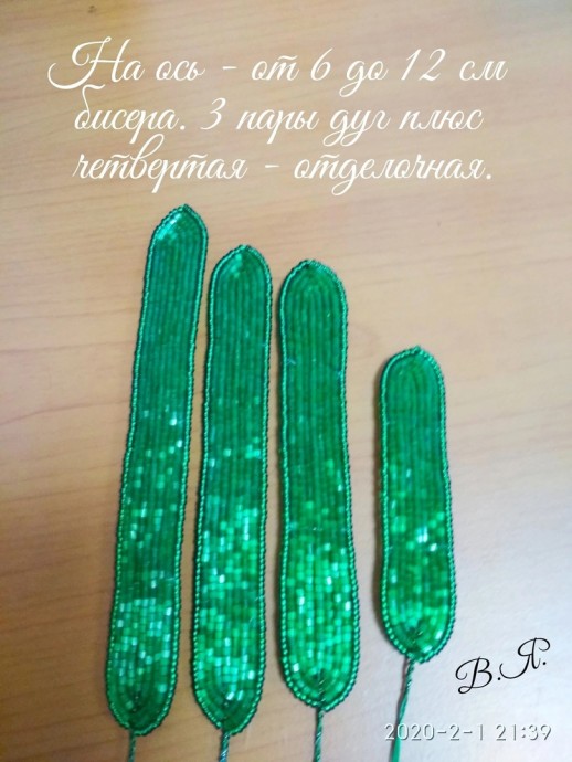 ​Нарциссы из рубки