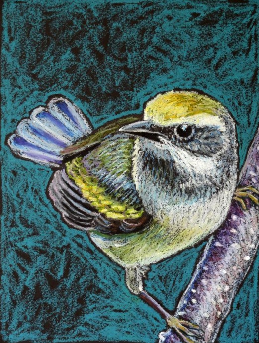 ​Рисуем птичку пастелью