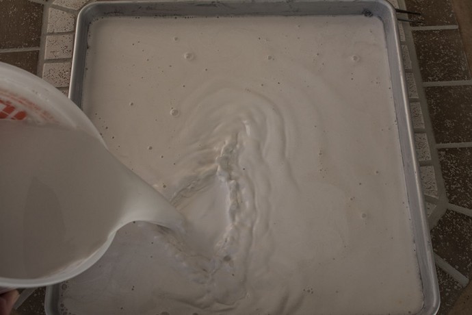 Создаем гипсовые отпечатки растений: мастер-класс