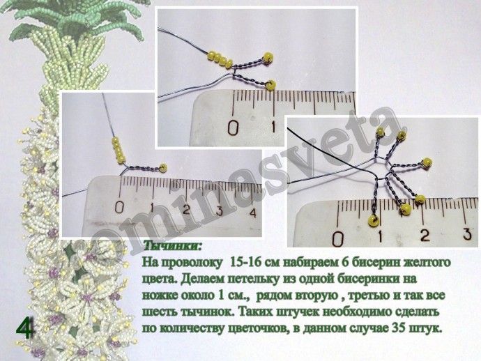 ​Восхитительный эукомис