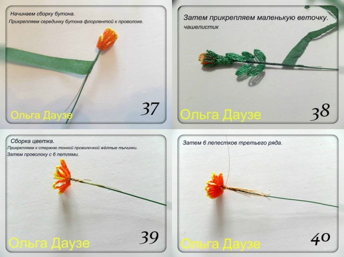 ​Бархатцы: мастер-класс