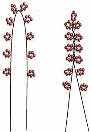 Кашпо с вереском из бисера Кашпо с вереском из бисера