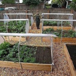 Парник на дачу своими руками