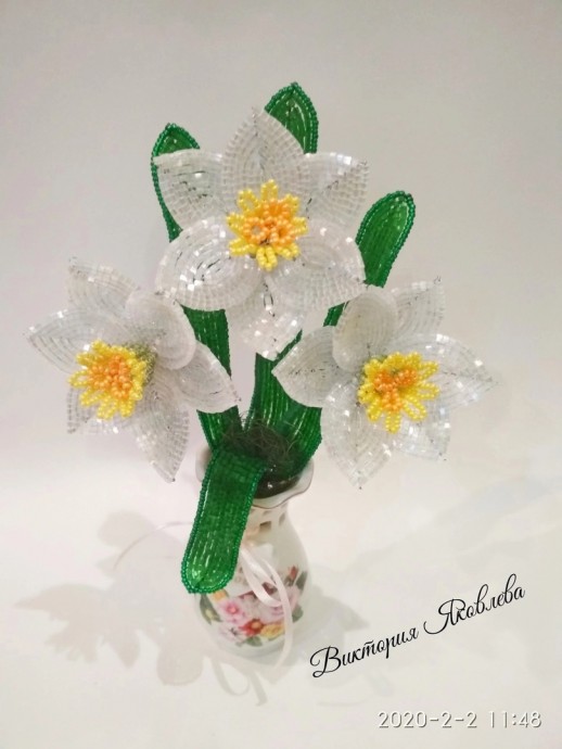 ​Нарциссы из рубки