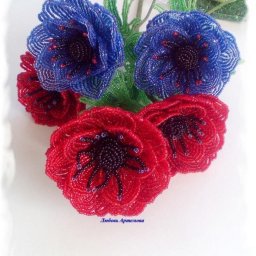 ​Синие и красные цветы, которые похожи на маки