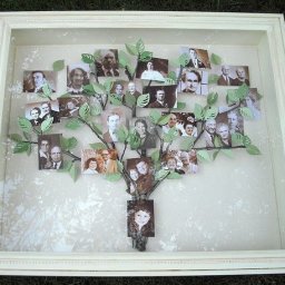 Создание семейного древа