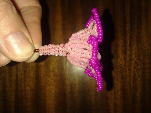 Бонсай адениум: мастер-класс