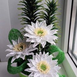 Роскошные белые цветы