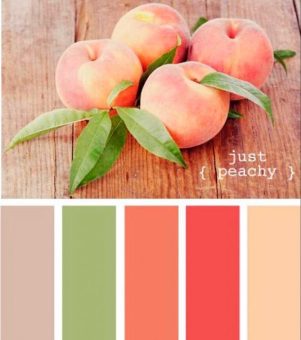 Лучшие сочетания цветов с персиковым