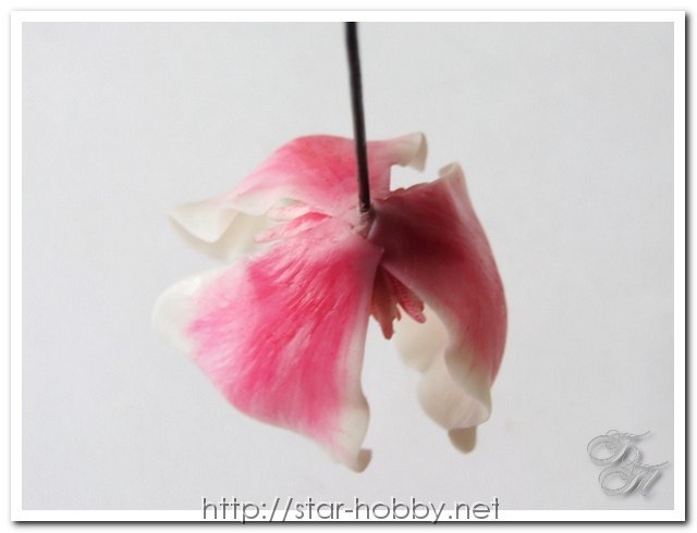 Мастер-класс по лепке магнолии