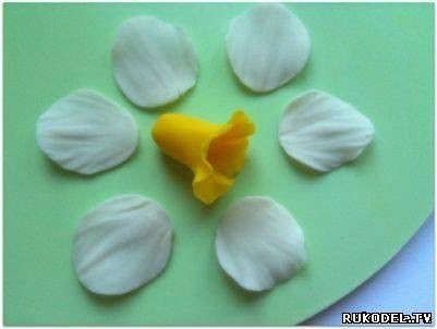 Нарцисс: мастер-класс