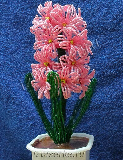 Очень красивый гиацинт из бисера