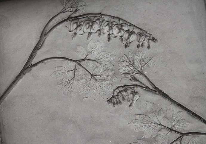 Создаем гипсовые отпечатки растений: мастер-класс