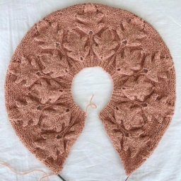 ​Кокетка с невероятно красивыми листиками