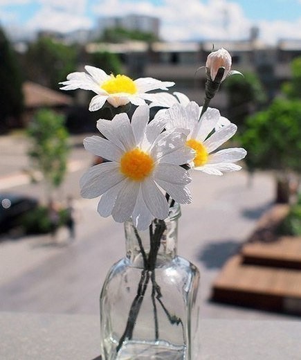 Ромашки своими руками