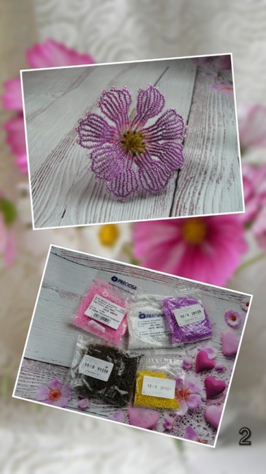 Мастер-класс "​Космея"