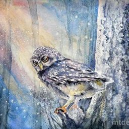 ​Рисуем сову в зимнем лесу