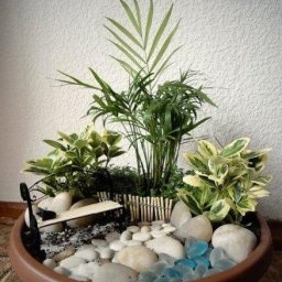 Делаем маленький сад