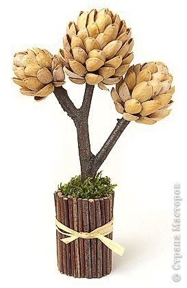 Дерево из скорлупок от фисташек Дерево из скорлупок от фисташек