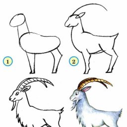 Учимся рисовать животных