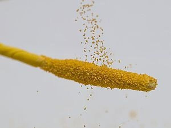 Как покрасить манку для цветочных тычинок